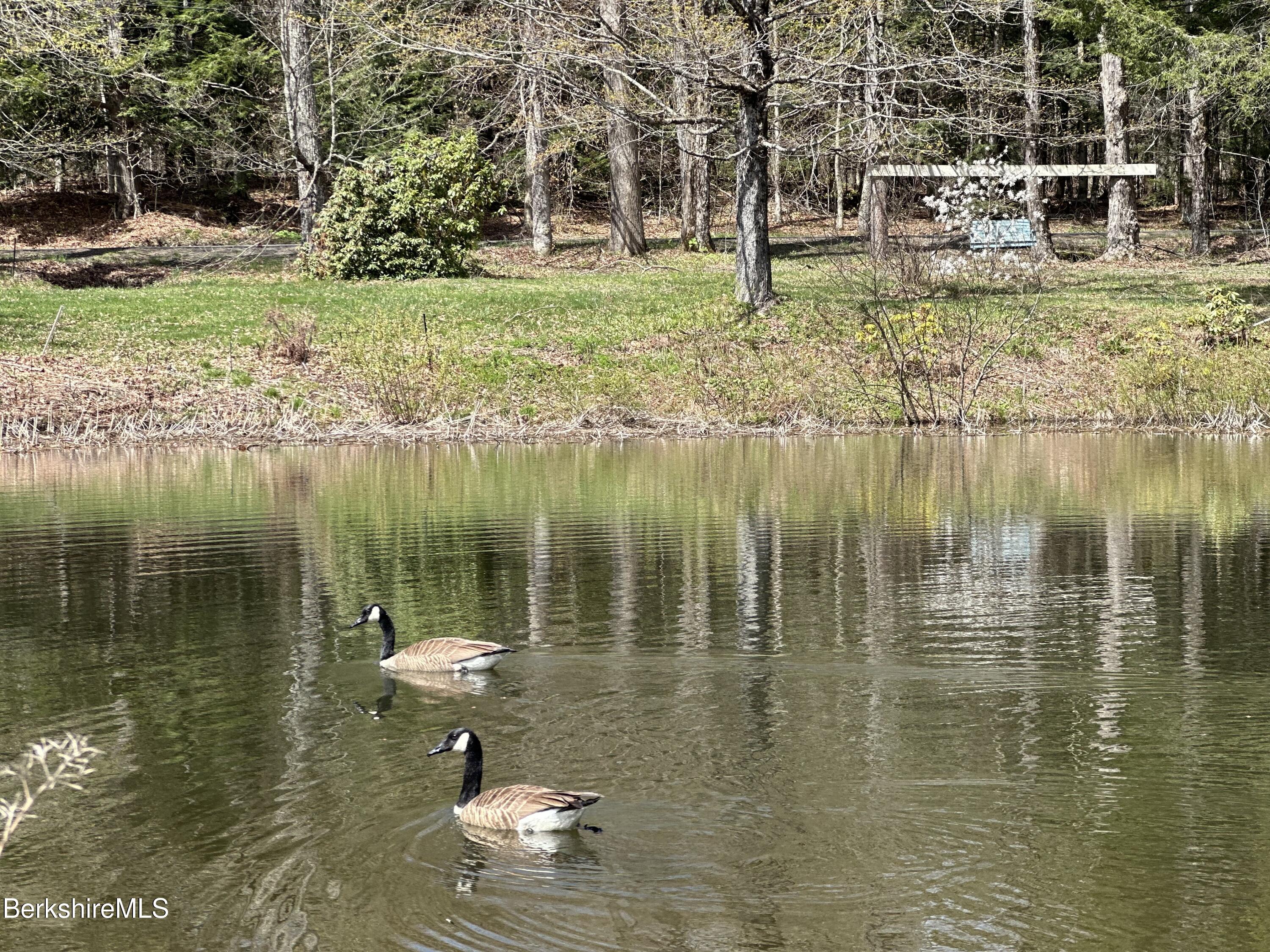 1689 East Windsor Road Windsor, MA 01270 - Photo 14 of 57 a lake view with houses