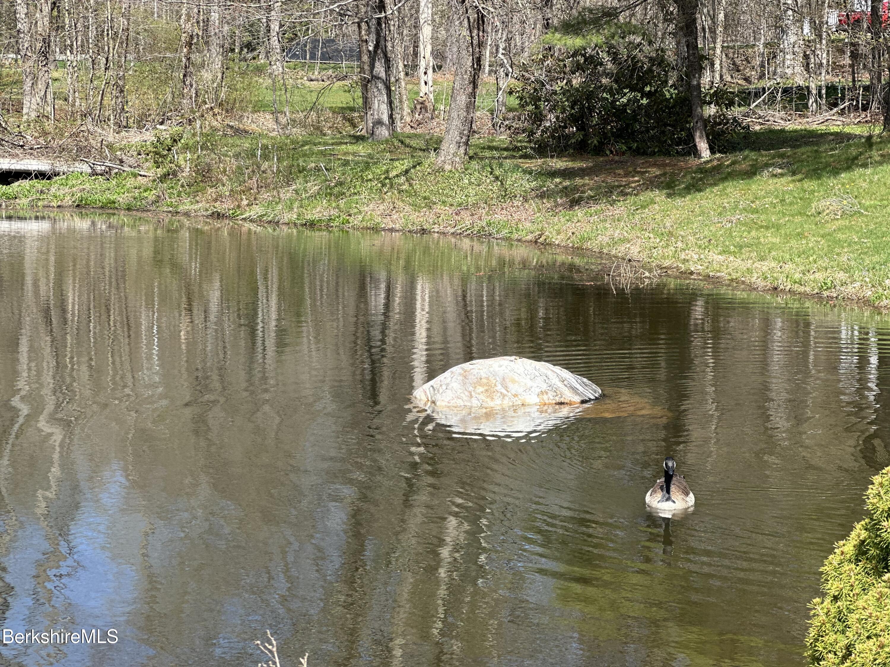 1689 East Windsor Road Windsor, MA 01270 - Photo 21 of 57 a view of lake