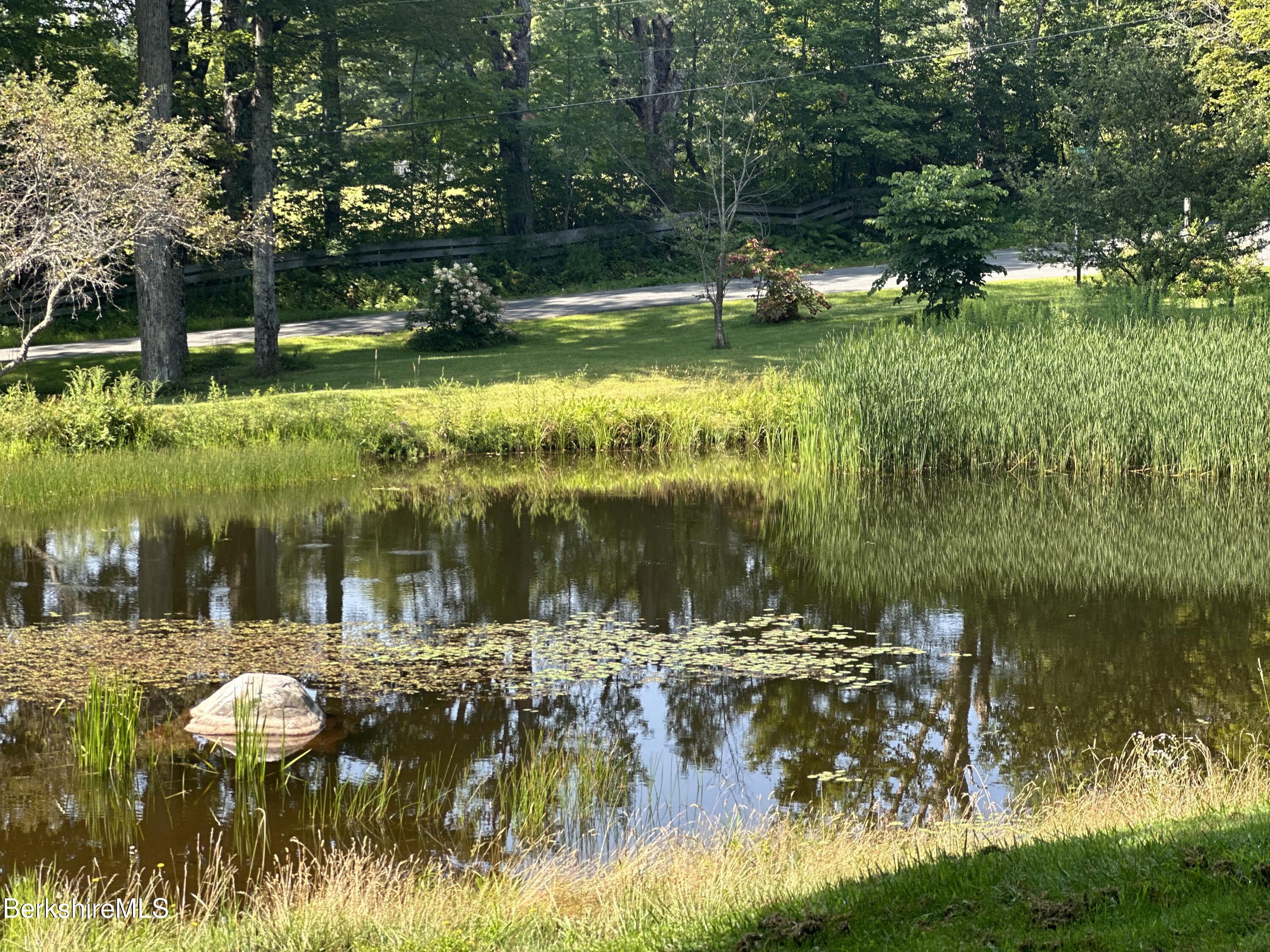 1689 East Windsor Road Windsor, MA 01270 - Photo 54 of 57 Pond view to the paved street