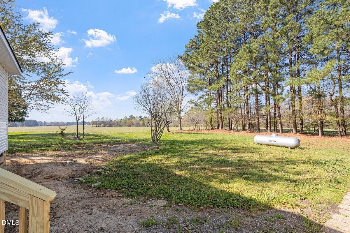 Partial Rear/Left Side Yard