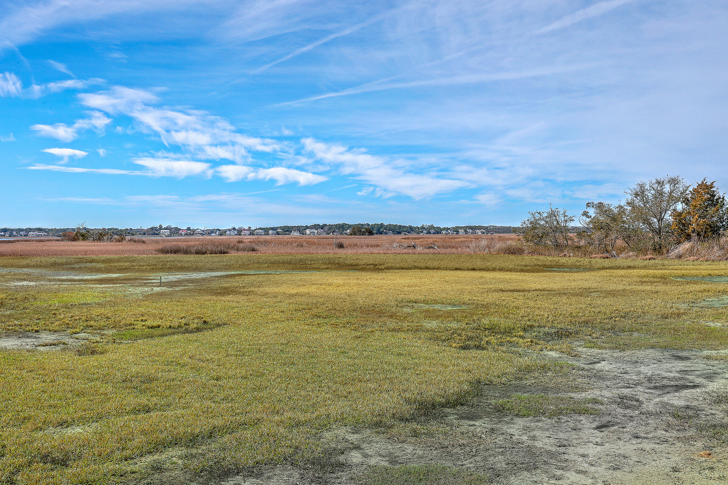 185 Wappoo Road Charleston, SC 29407 - Photo 30 of 65 ZYN_0260_1_2_3_4_5_6