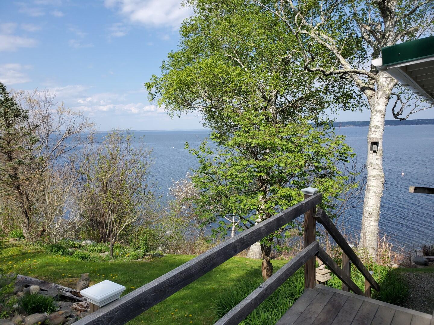 234 Shore Road Northport, ME 04849 - Photo 15 of 72 20230512_152602 (Large)