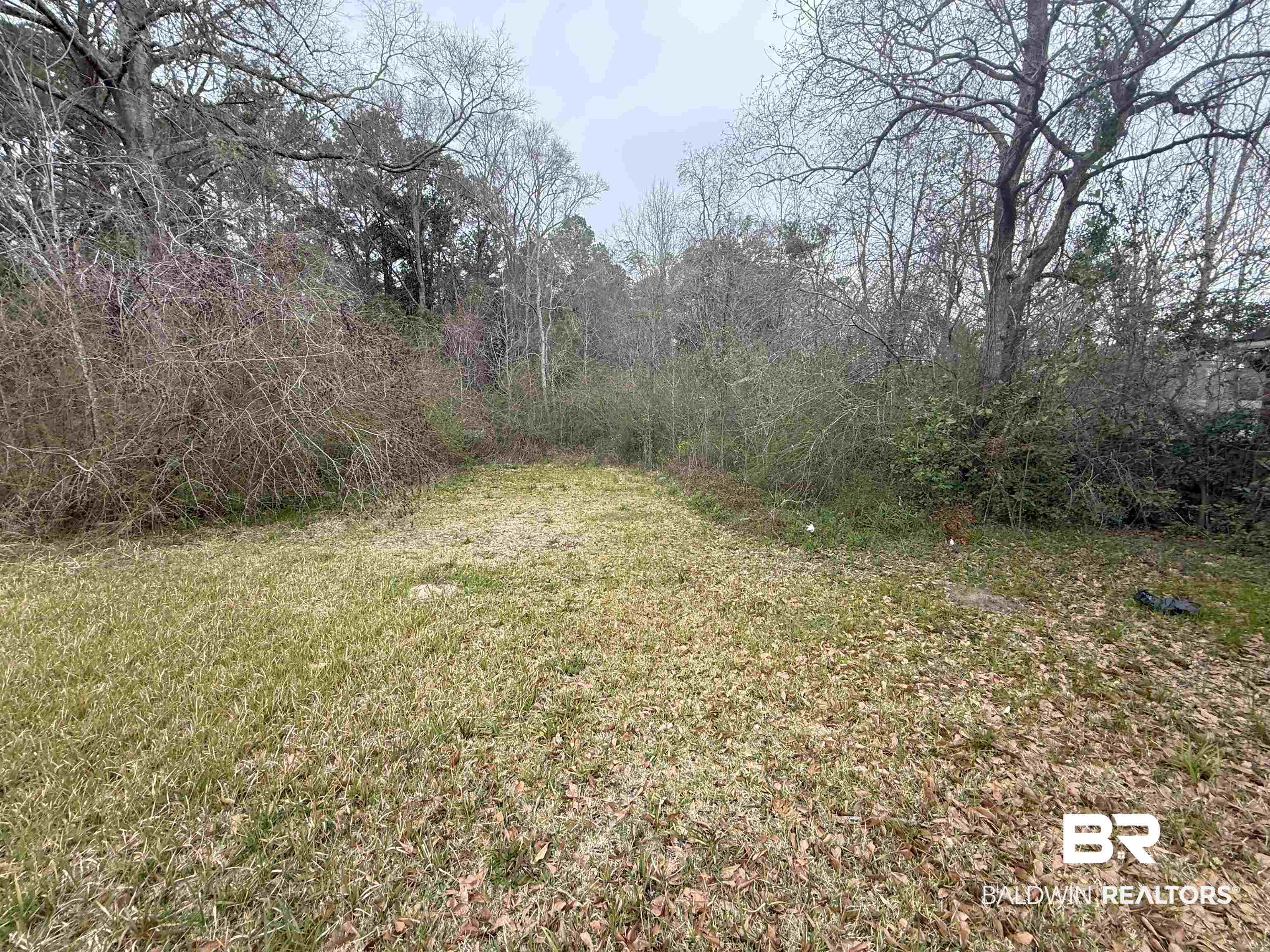 1166 Military Rd Mount Mount Vernon, AL 36560 - Photo 7 of 9 View of yard
