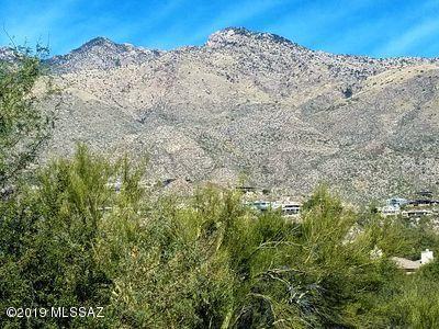 5855 North Kolb Road, Unit 1102W Tucson, AZ 85750 - Photo 14 of 22