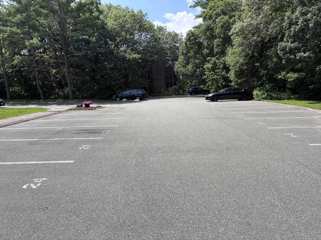 25 Alpine Street, Unit 7 Boston, MA 02136 - Photo 14 of 16 a view of road with trees