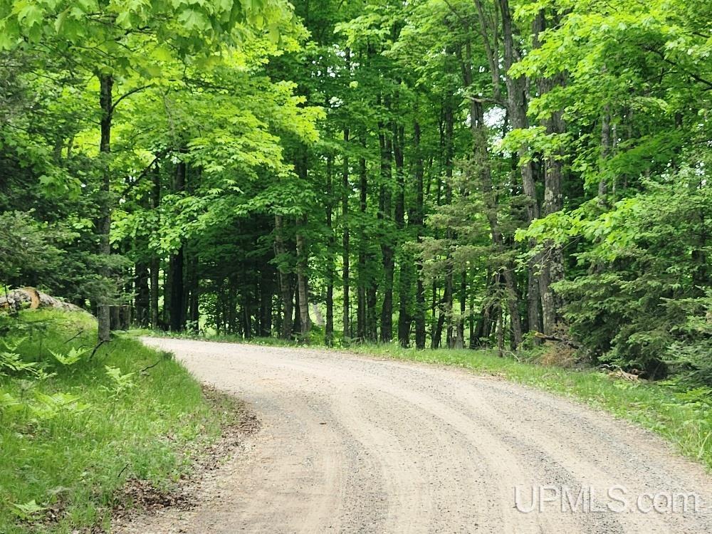 Lot 5 Wilderness Way Road Crystal Falls, MI 49920 - Photo 24 of 25
