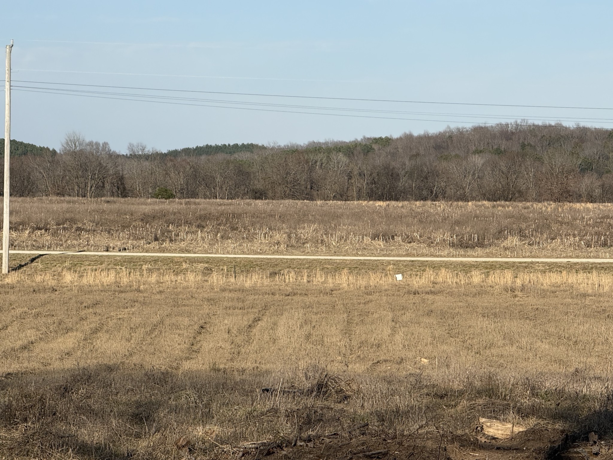 415 Hardin Btm Road Clifton, TN 38425 - Photo 11 of 21 a view of a yard with an ocean beach