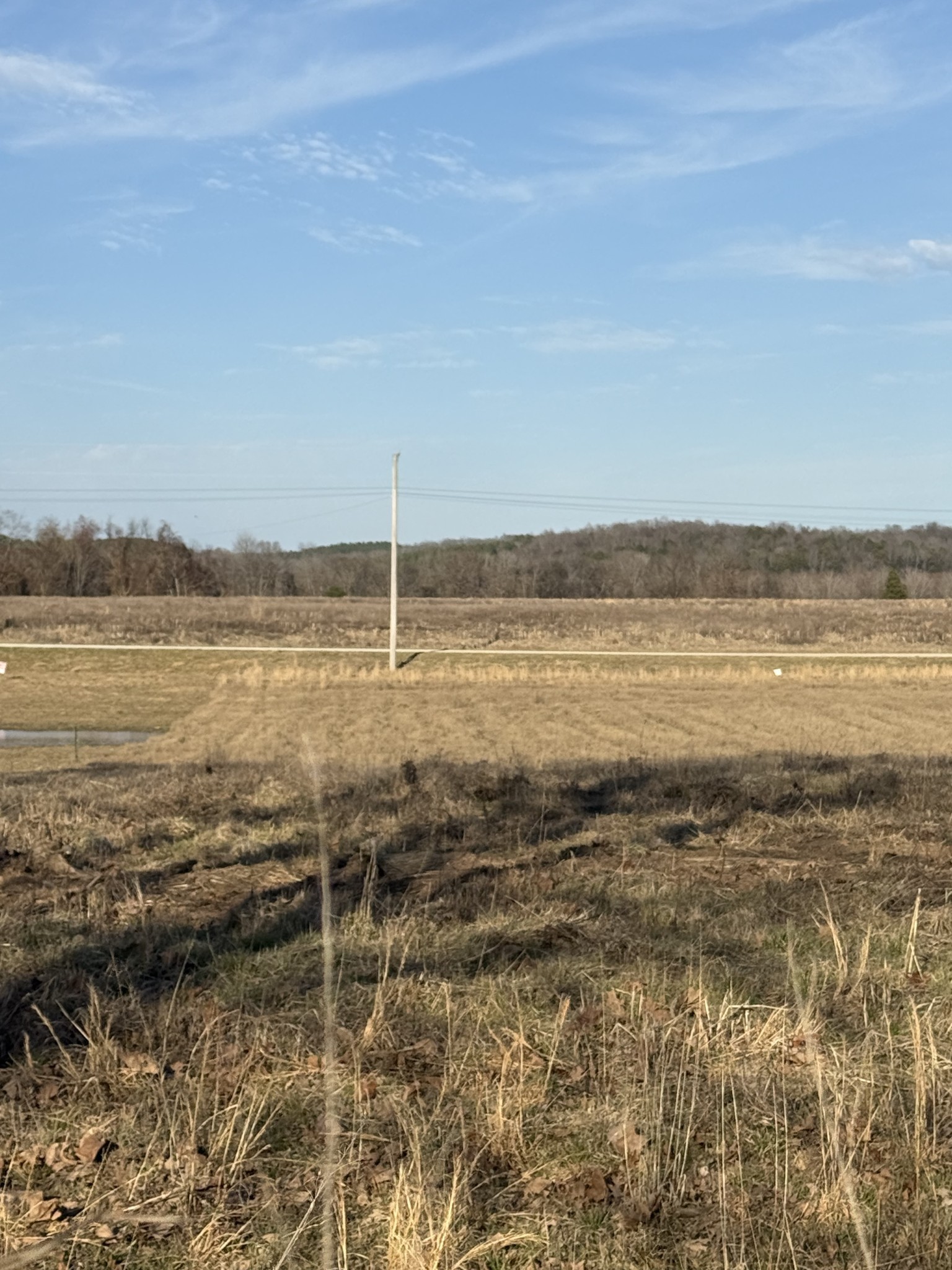 415 Hardin Btm Road Clifton, TN 38425 - Photo 12 of 21 a view of an ocean