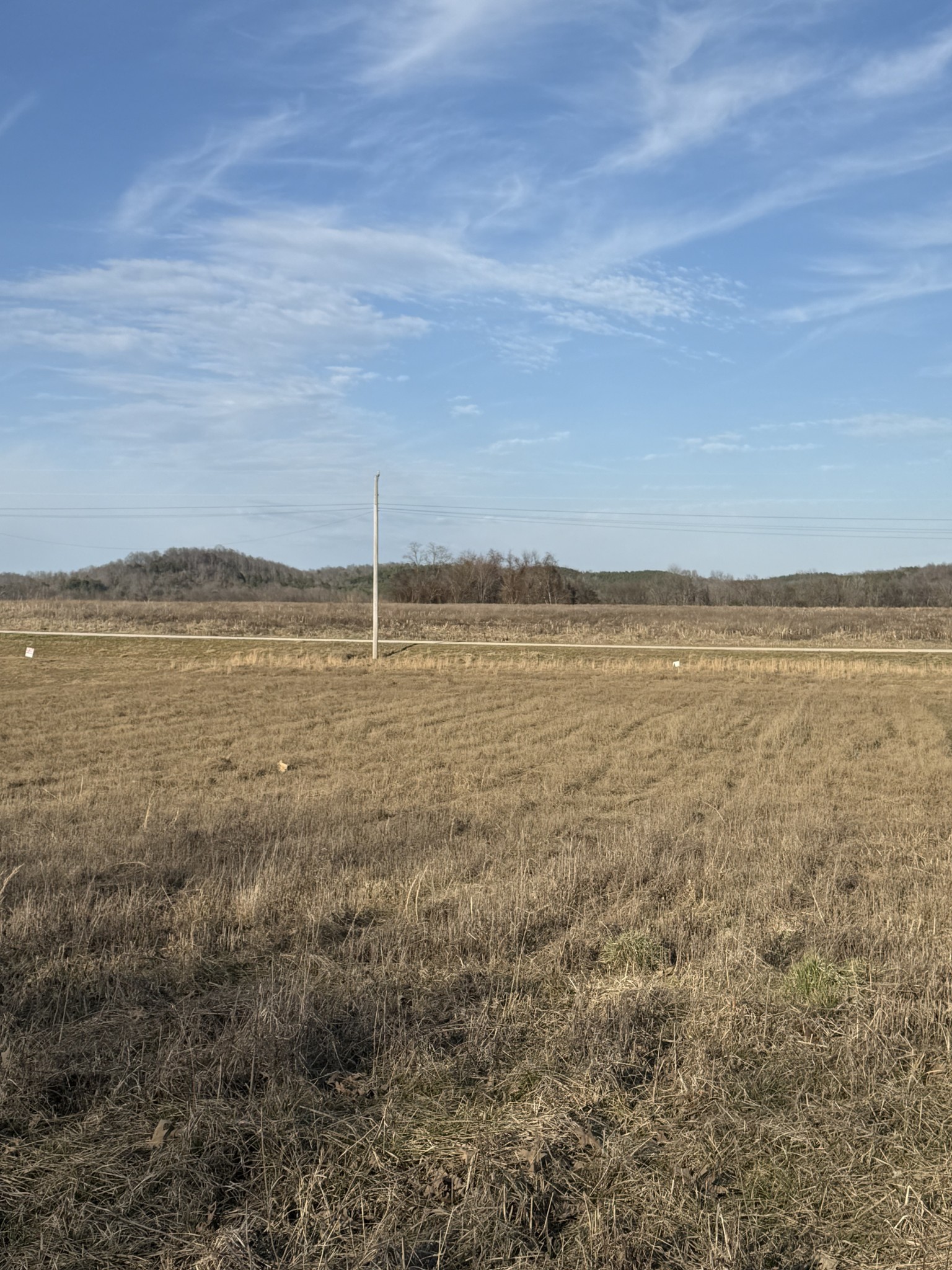 415 Hardin Btm Road Clifton, TN 38425 - Photo 16 of 21 a view of an ocean beach