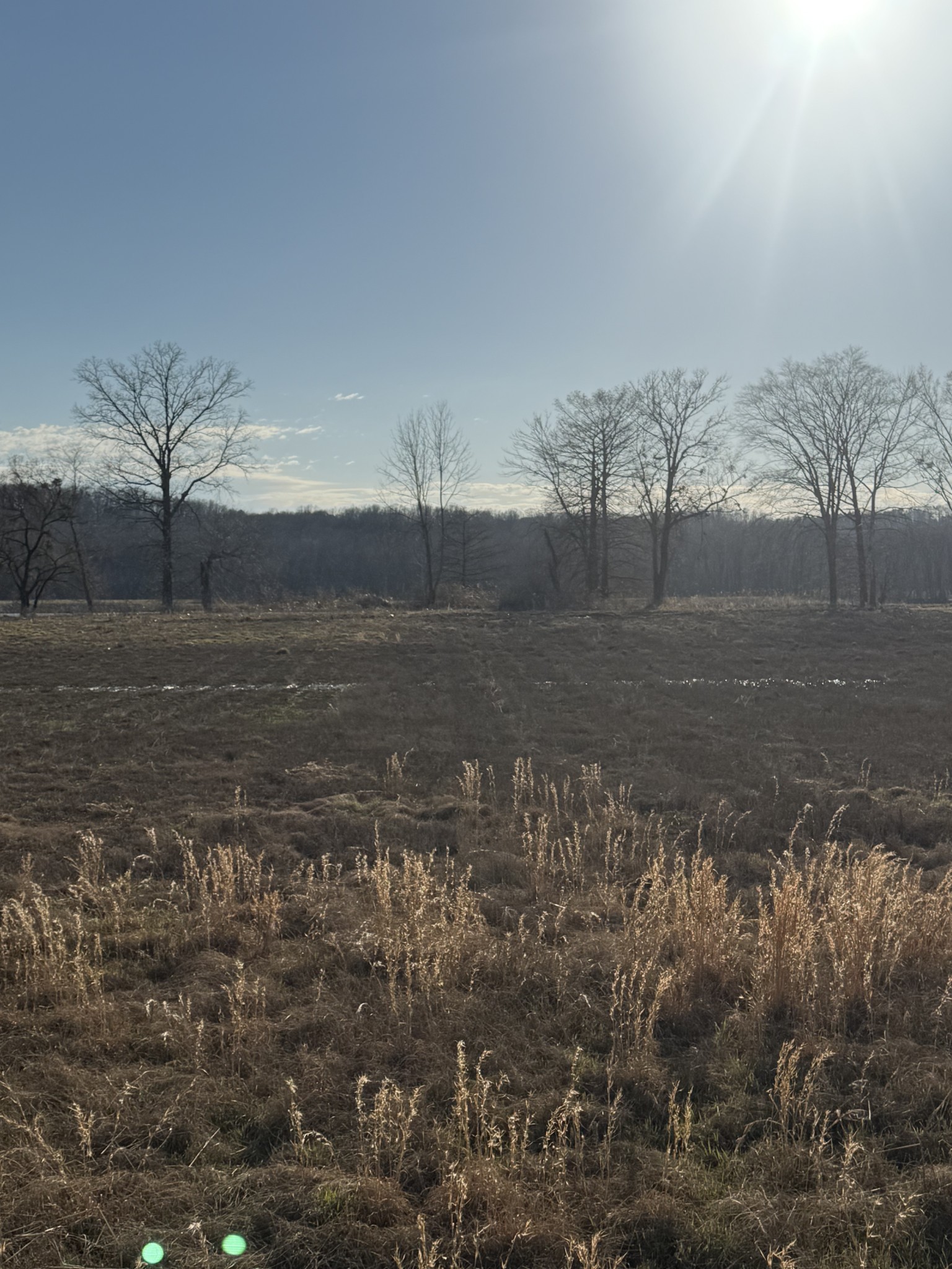 415 Hardin Btm Road Clifton, TN 38425 - Photo 18 of 21 a view of a dry yard