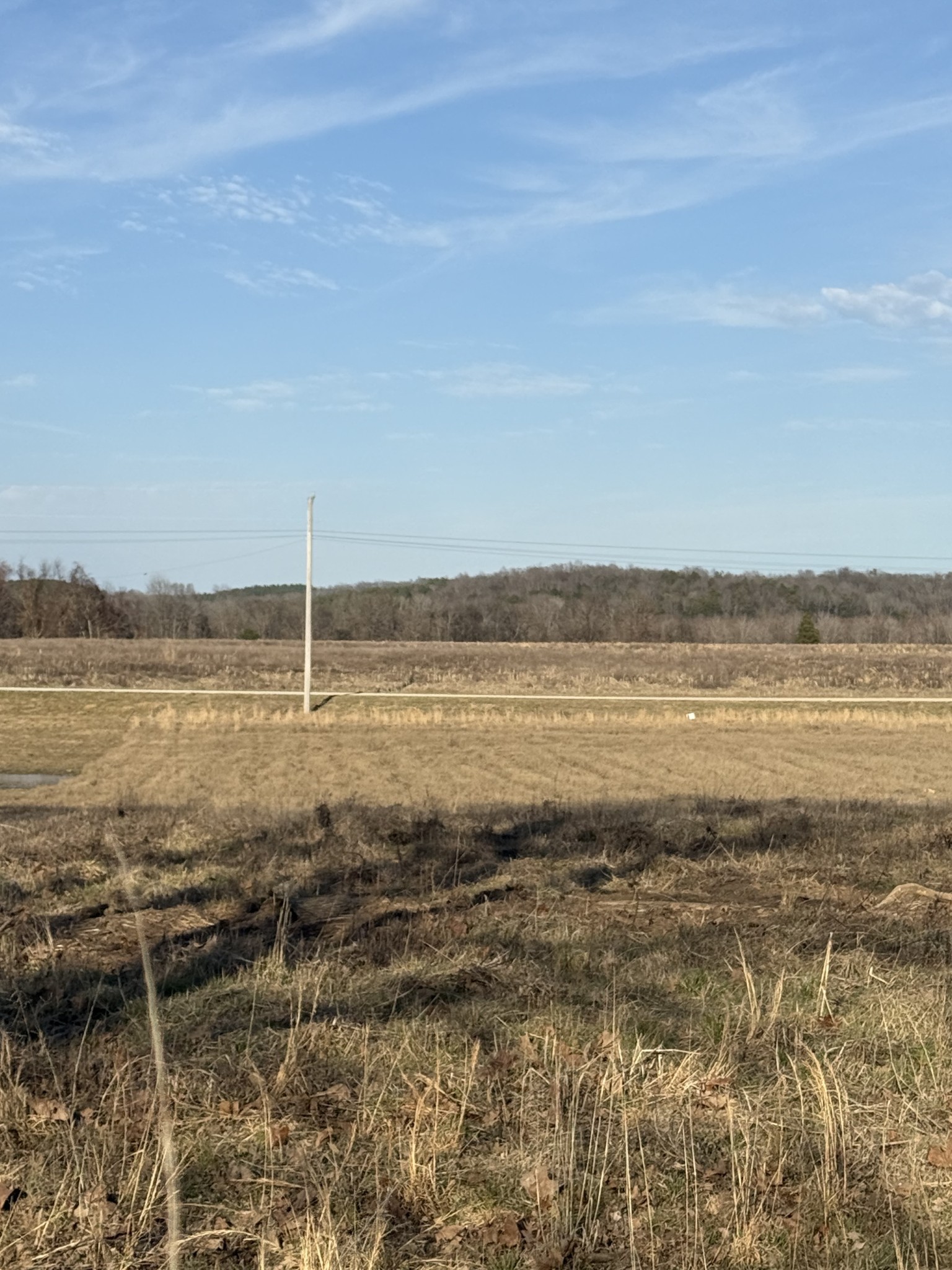 415 Hardin Btm Road Clifton, TN 38425 - Photo 20 of 21 a view of an ocean