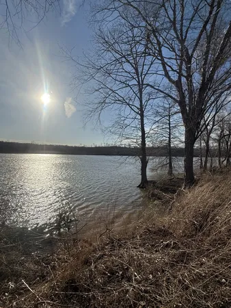 a view of dirt yard with a large tree