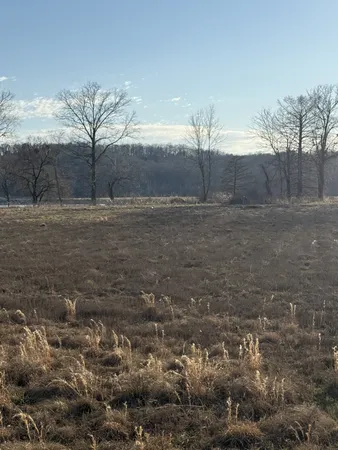 a view of outdoor space with green field and trees