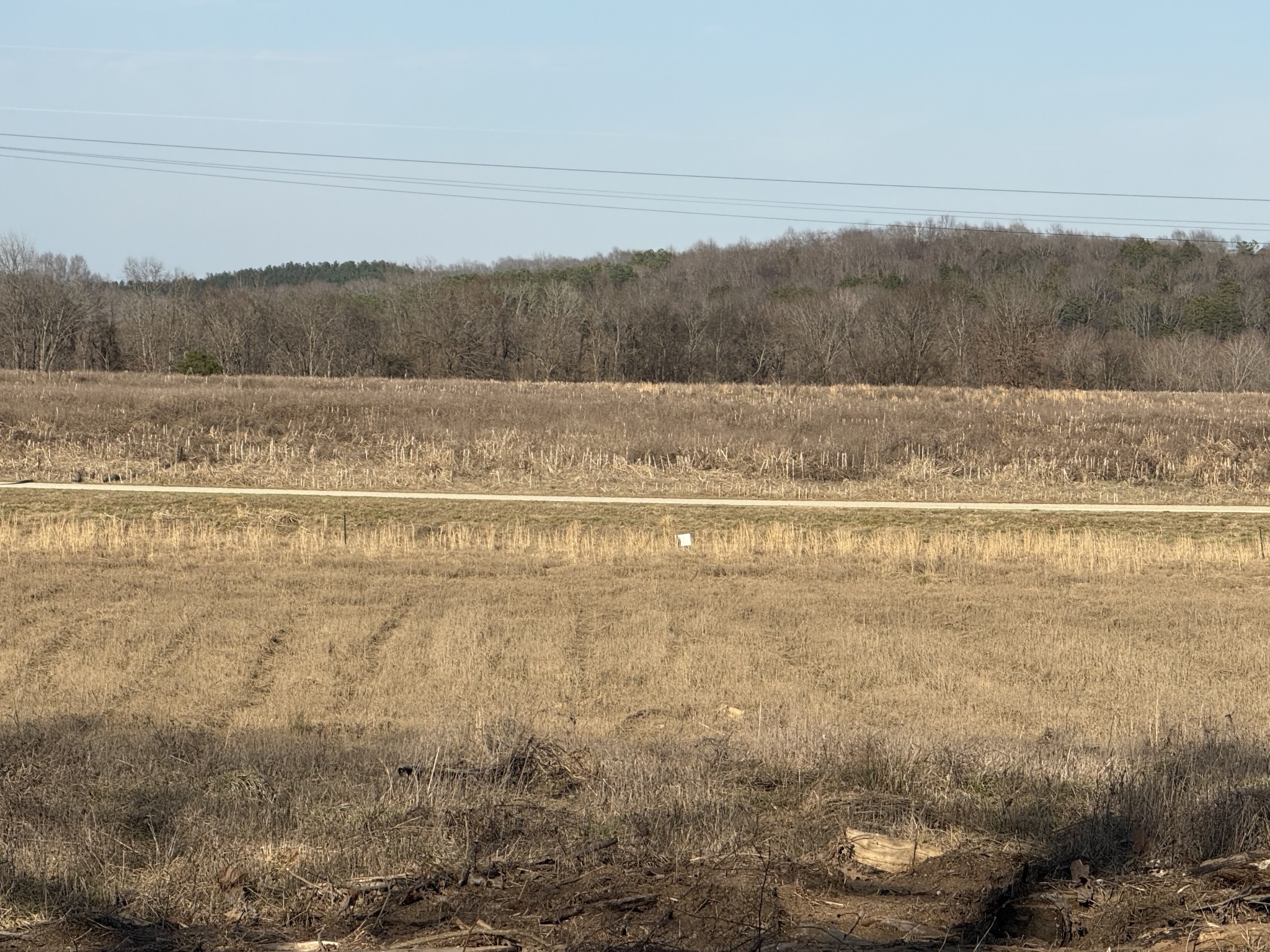 415 Hardin Btm Road Clifton, TN 38425 - Photo 10 of 21 a view of a yard