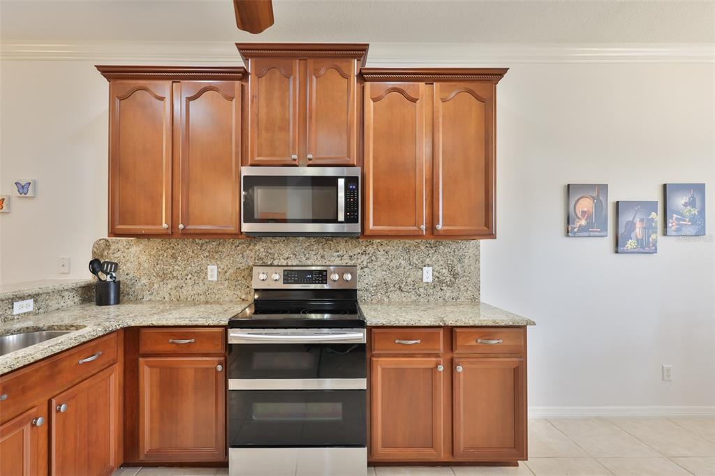 147 Silver Falls Drive Apollo Beach, FL 33572 - Photo 11 of 72