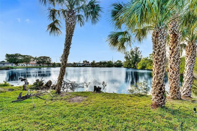 a view of a lake with a big yard and palm trees