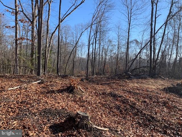 7000 Broomes Island Road St. Leonard, MD 20685 - Photo 1 of 6