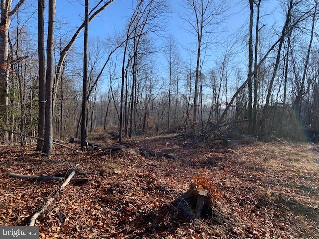 7000 Broomes Island Road St. Leonard, MD 20685 - Photo 2 of 6