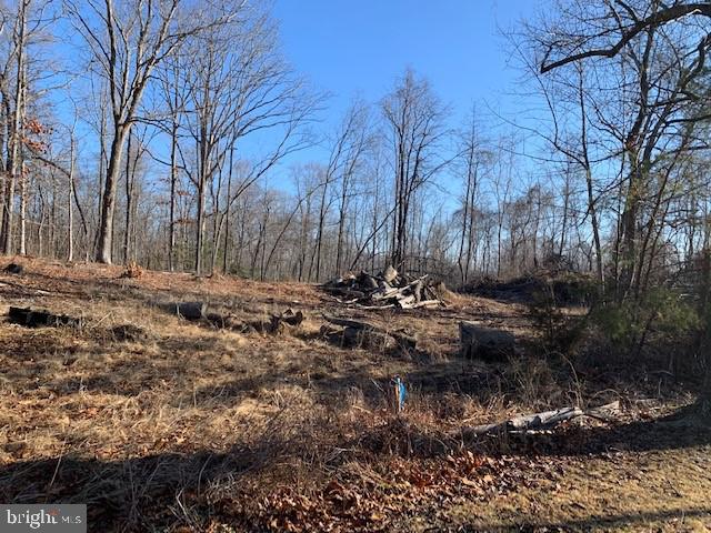 7000 Broomes Island Road St. Leonard, MD 20685 - Photo 3 of 6