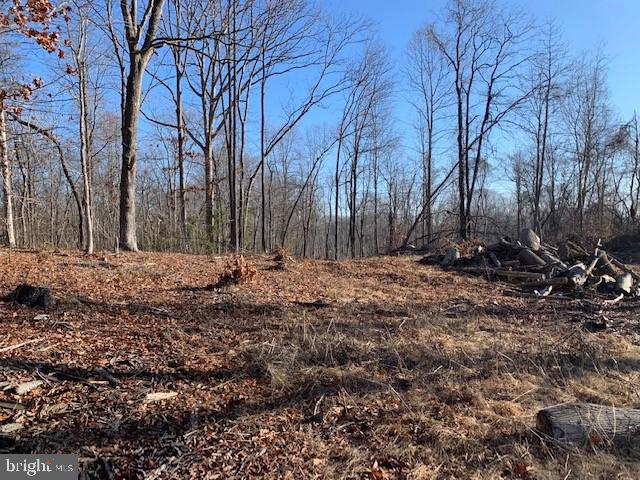 7000 Broomes Island Road St. Leonard, MD 20685 - Photo 4 of 6