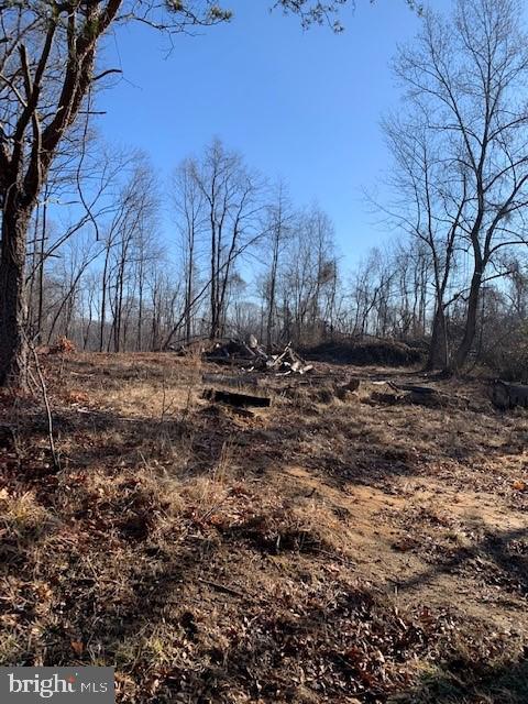 7000 Broomes Island Road St. Leonard, MD 20685 - Photo 5 of 6