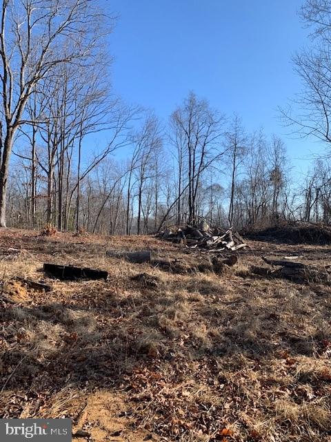 7000 Broomes Island Road St. Leonard, MD 20685 - Photo 6 of 6