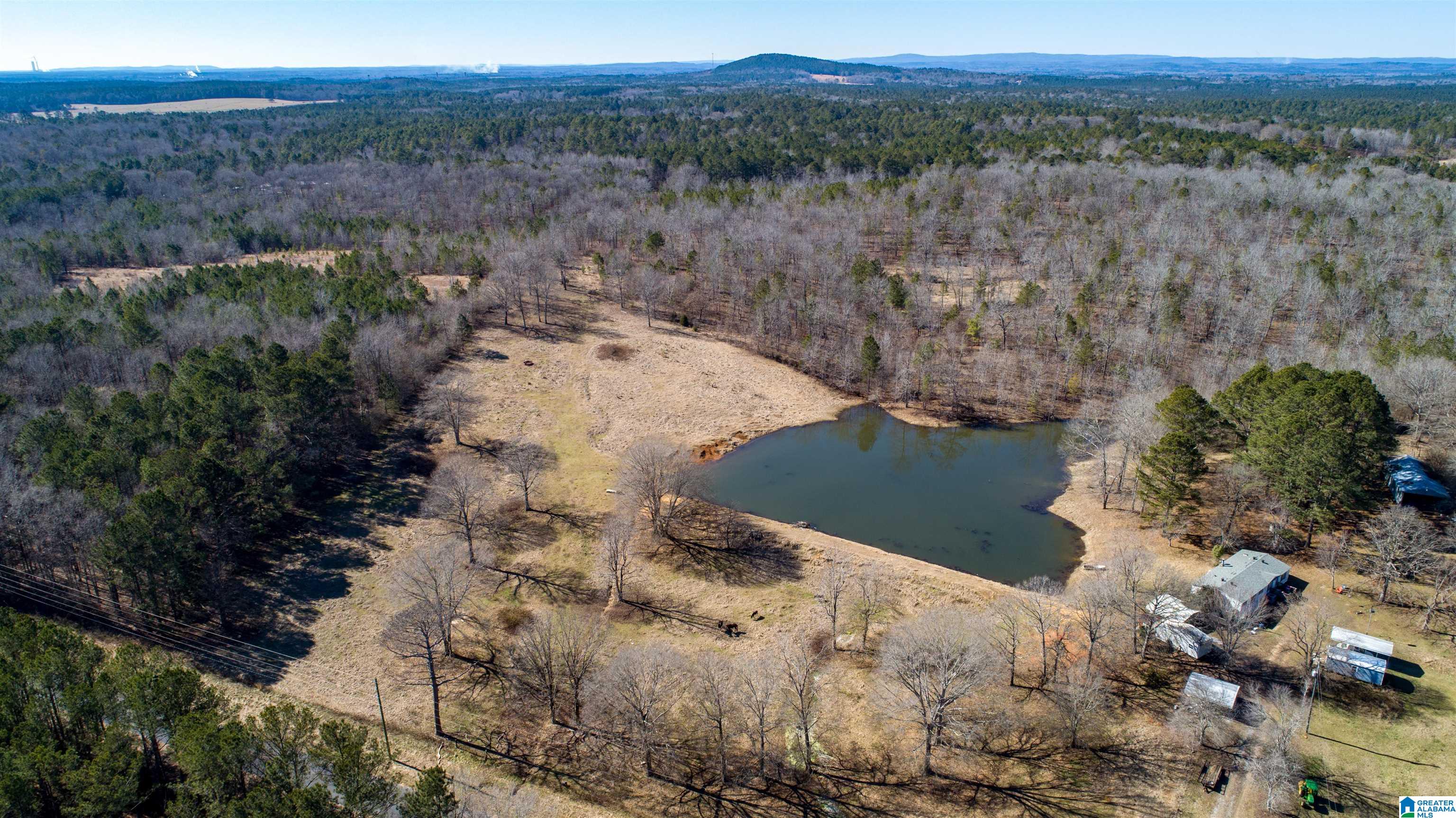3086 Feddisburg Road, Unit ACREAGE SECTIONS 1 & 2 Alpine, AL 35014 - Photo 15 of 34