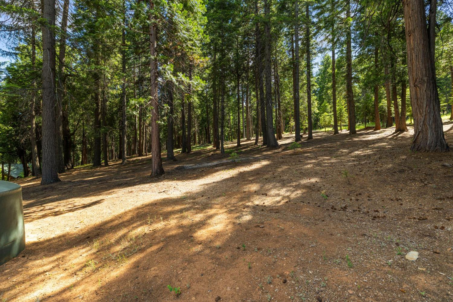 3070 Crystal Summit Road Pollock Pines, CA 95726 - Photo 55 of 76
