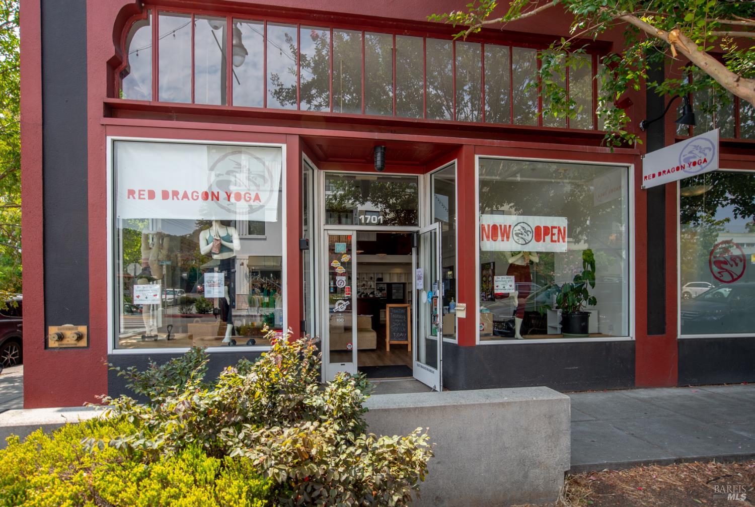 166 Alpine Street San Rafael, CA 94901 - Photo 47 of 47