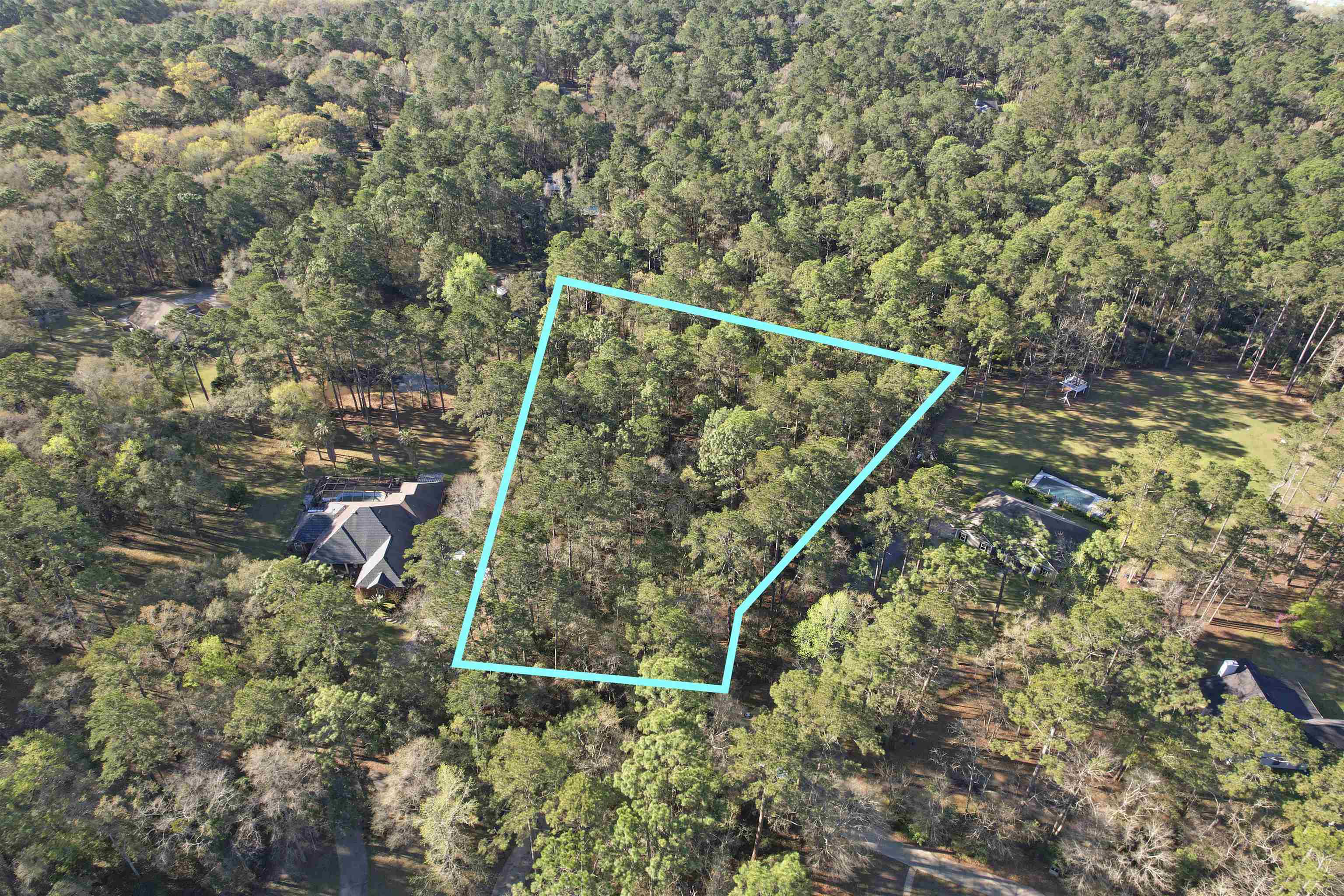 0 Amber Valley Road Tallahassee, FL 32312 - Photo 3 of 38 Gallery Image 3