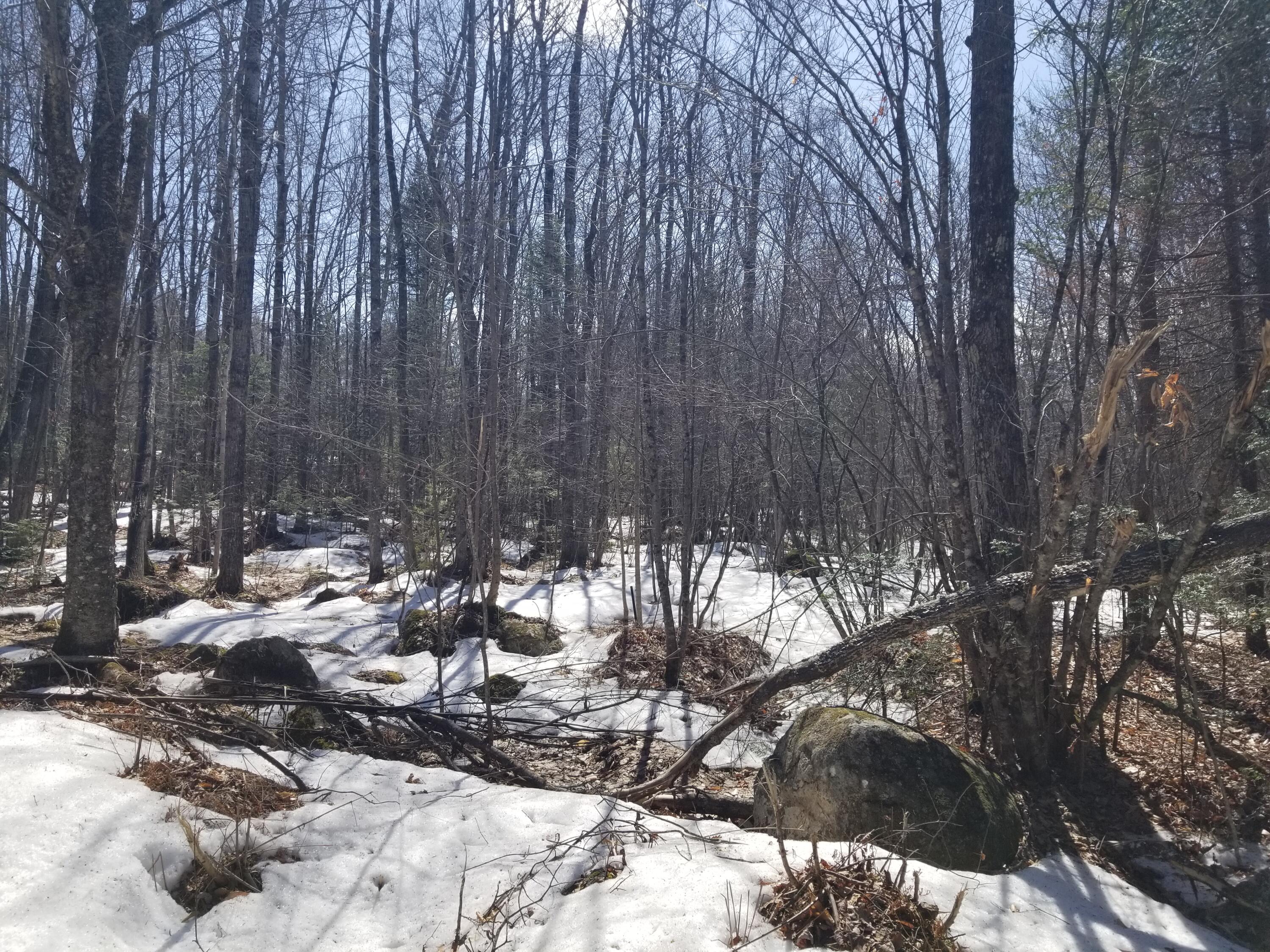 0 Fields Hill Road Sumner, ME 04292 - Photo 11 of 15 2022-03-28 12.40.27