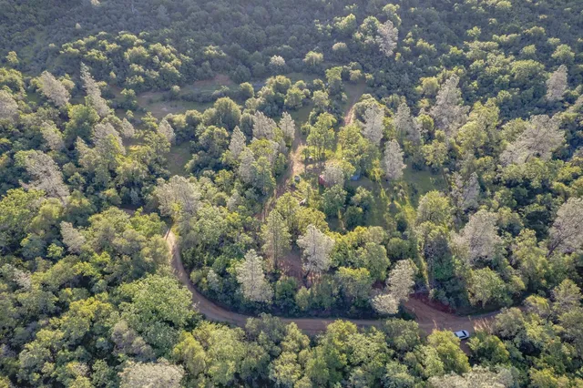 a view of a forest with a houses