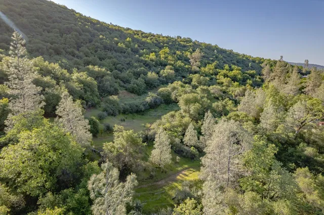 a view of a green field with mountains in the background