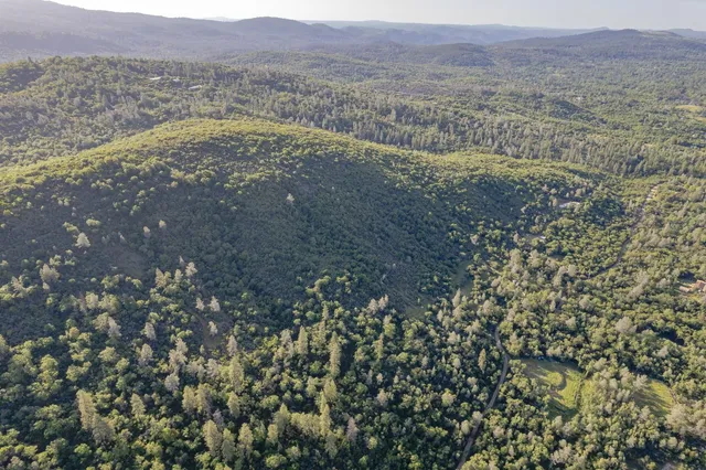 a view of beach and yard