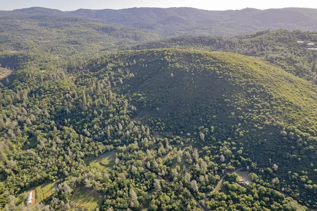 a view of a forest with a houses