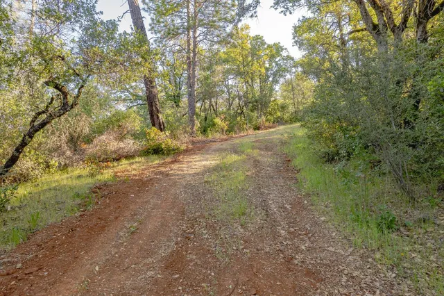 a view of outdoor space and a yard
