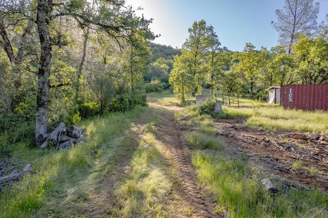 a view of a lake with lots of trees