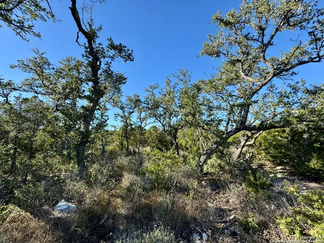 $165,000 | Lot 31 West W Cr, Mico, TX 78056