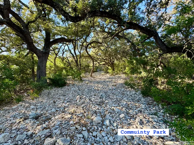 $165,000 | Lot 31 West W Cr, Mico, TX 78056