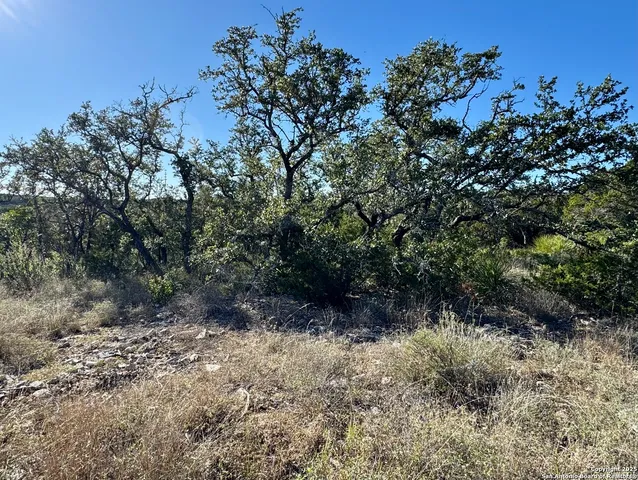 $165,000 | Lot 31 West W Cr, Mico, TX 78056