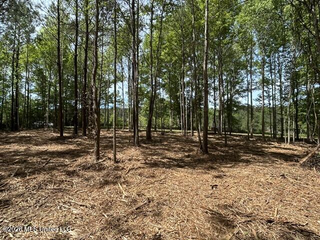 4 Stovall Lane Summit, MS 39666 - Photo 3 of 6 IMG_6930