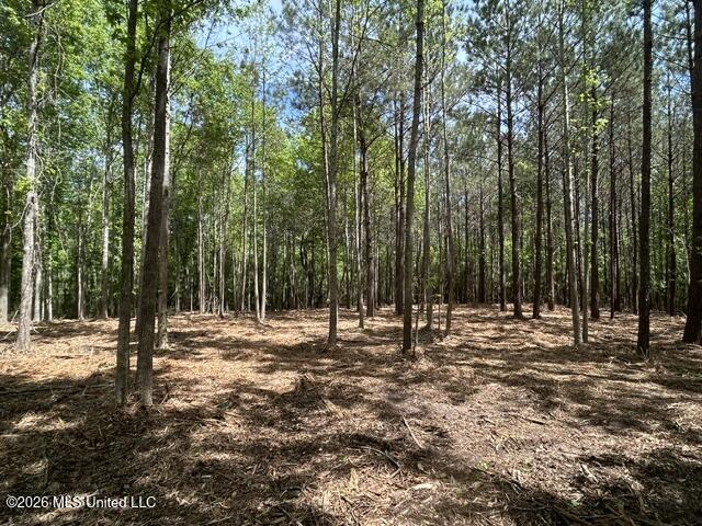 4 Stovall Lane Summit, MS 39666 - Photo 4 of 6 IMG_6929