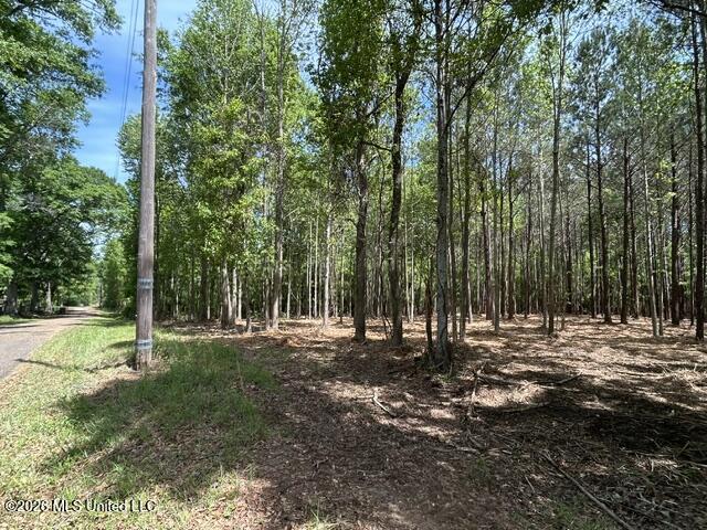 4 Stovall Lane Summit, MS 39666 - Photo 5 of 6 IMG_6928