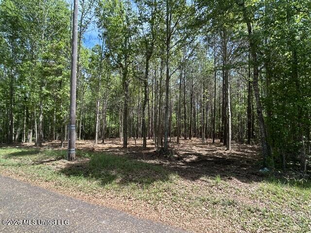 4 Stovall Lane Summit, MS 39666 - Photo 6 of 6 IMG_6927