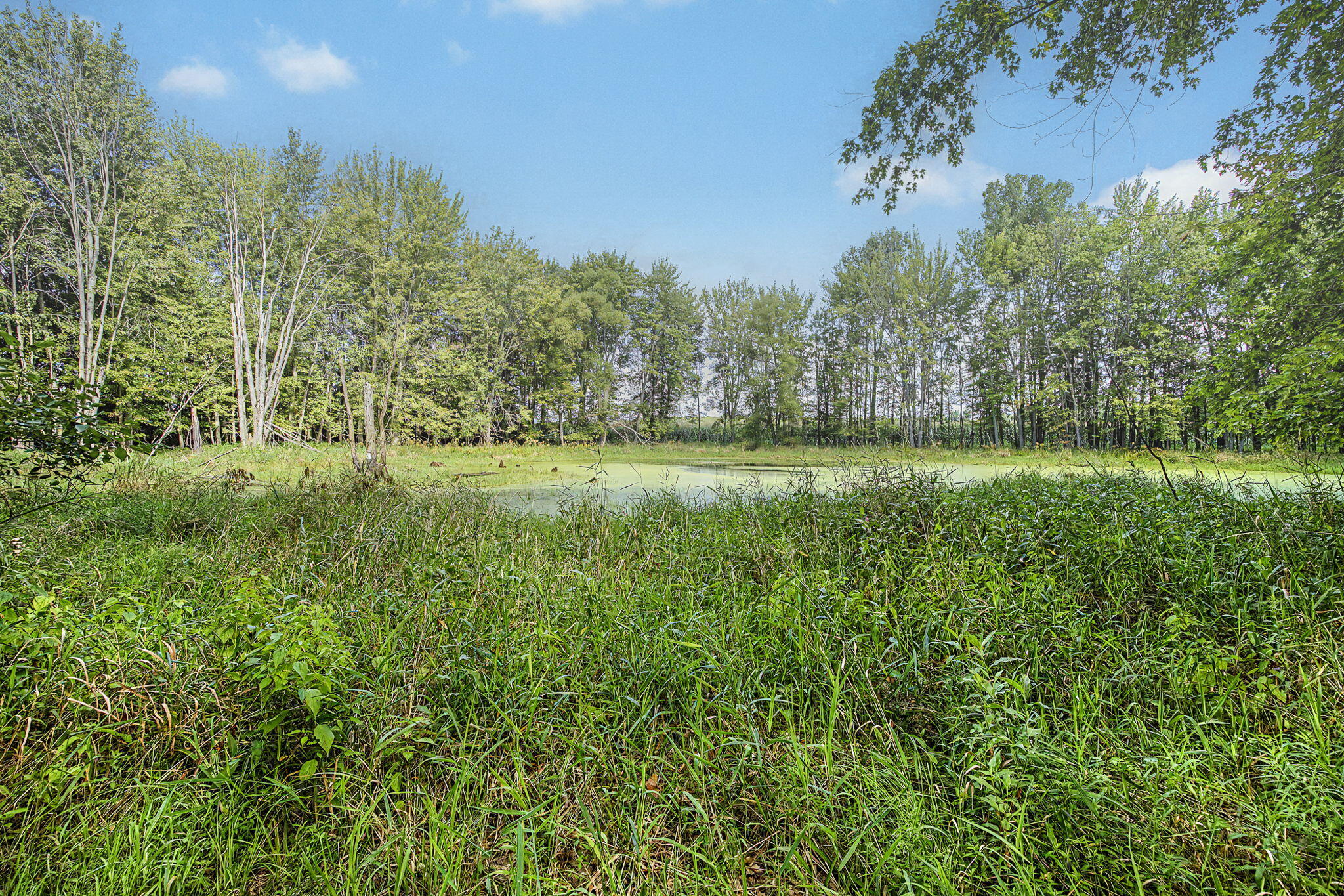 1940 Maple Grove Road Jackson, MI 49201 - Photo 40 of 53 40-web-or-mls-CQ1A8744