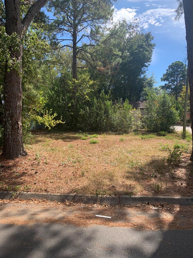500 Pine Street Dothan, AL 36303 - Photo 1 of 1