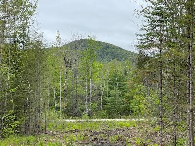 $125,000 | Lot 11 Misty Lane, Brownfield, ME 04010