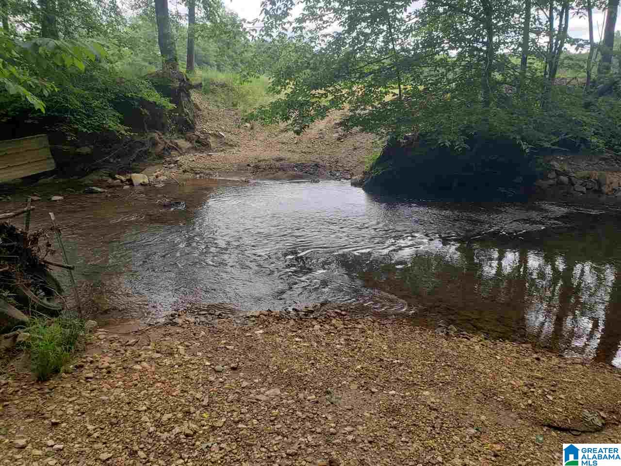 0 County Road 36 Heflin, AL 36264 - Photo 8 of 11