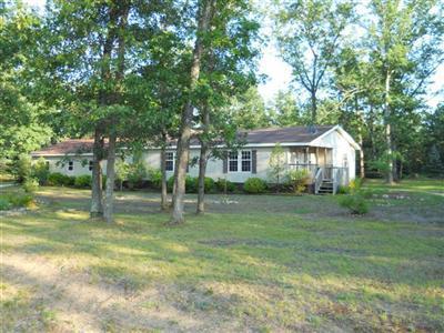 5123 South County Line Road Free Soil, MI 49411 - Photo 1 of 9 Primary Photo