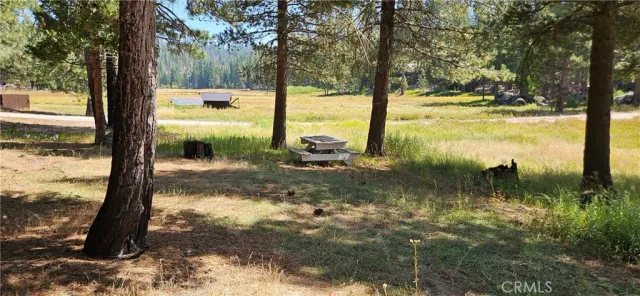 a view of a lake from a yard